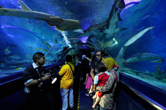 Photo of 24 hours in Kuala Lumpur 8/13 by mansioza
