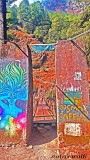 Photo of Why you should not visit Kasol ? 3/6 by Rahul sharma