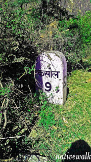 Photo of Why you should not visit Kasol ? 4/6 by Rahul sharma