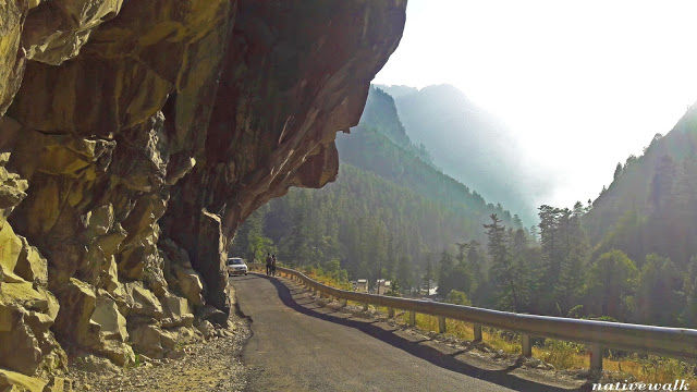 Photo of Why you should not visit Kasol ? 5/6 by Rahul sharma