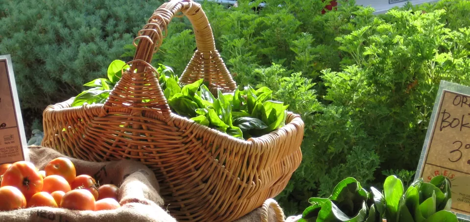 Photo of CERES Community Environment Park, Stewart Street, Brunswick East, Victoria, Australia by Sofia