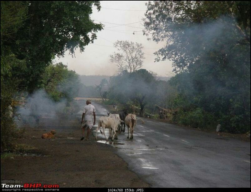 Photo of Indore via bhedaghat(heaven) dhuandhar falls by Sonali Mishra