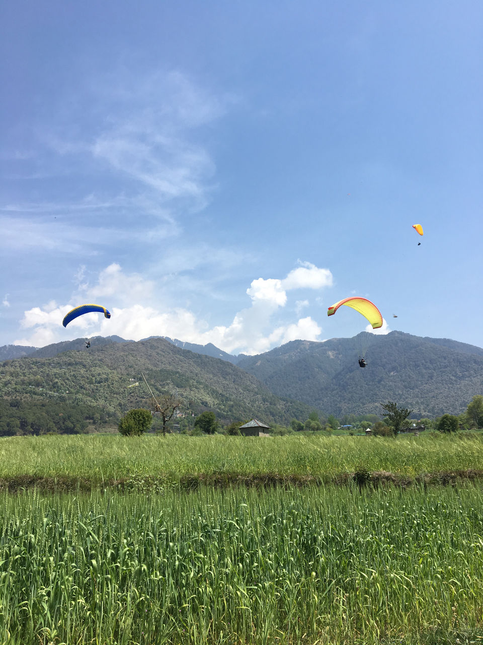 Photo of Bir.. Awesome Place For paragliding by Swapnali Veer