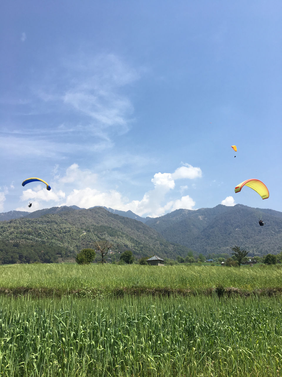 Photo of Bir.. Awesome Place For paragliding by Swapnali Veer