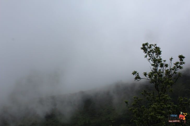 Photo of Chikmagalur Trip - places to visit around chikmagalur 3/26 by KAVI MANI KUMAR KULANDHAIVEL SAKTHIVEL