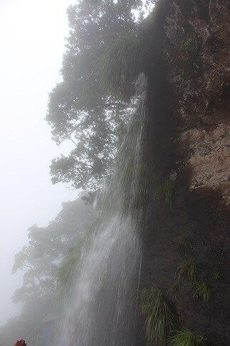 Photo of Chikmagalur Trip - places to visit around chikmagalur 6/26 by KAVI MANI KUMAR KULANDHAIVEL SAKTHIVEL