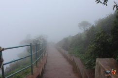 Photo of Chikmagalur Trip - places to visit around chikmagalur 10/26 by KAVI MANI KUMAR KULANDHAIVEL SAKTHIVEL