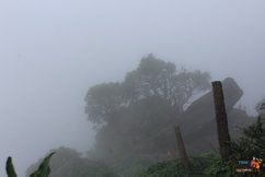 Photo of Chikmagalur Trip - places to visit around chikmagalur 12/26 by KAVI MANI KUMAR KULANDHAIVEL SAKTHIVEL