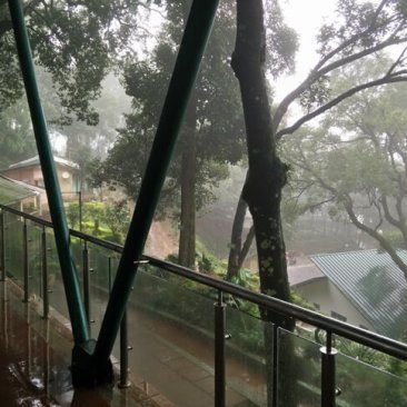 Photo of Chikmagalur Trip - places to visit around chikmagalur 17/26 by KAVI MANI KUMAR KULANDHAIVEL SAKTHIVEL