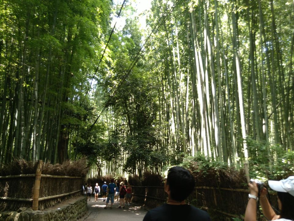 Photo of Kyoto Prefecture, Japan by Supriya