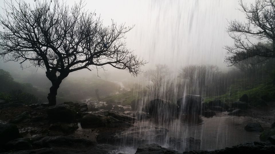 Photo of Harishchandra Gadh valley of environs, waterfalls, caves & ancient history by Sindhu Chandra