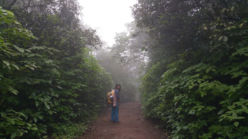 Photo of Bhimashankar, journey to an unpredictably beautiful place, that leaves you breathless. by Sindhu Chandra