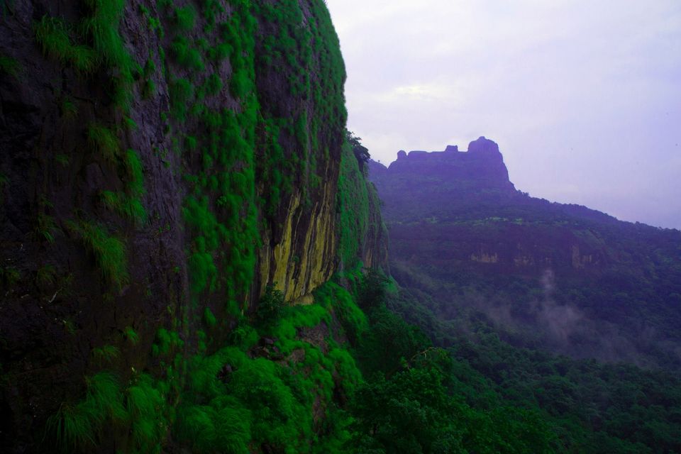 Photo of Bhimashankar, journey to an unpredictably beautiful place, that leaves you breathless. by Sindhu Chandra