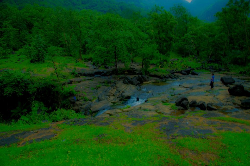 Photo of Bhimashankar, journey to an unpredictably beautiful place, that leaves you breathless. by Sindhu Chandra