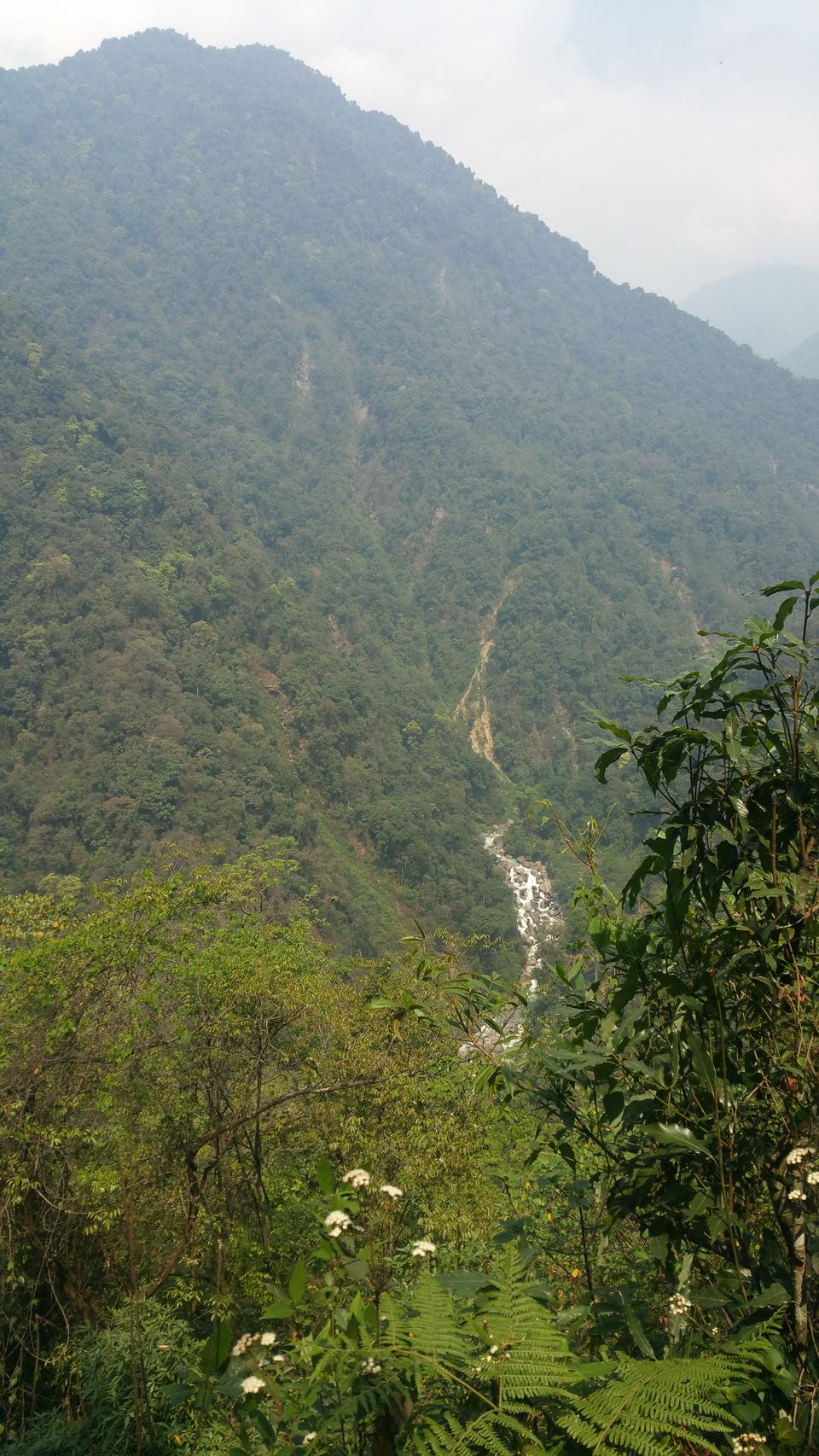 Photo of Wandering Soul’s Spellbound & Most Surreal Experience: Goechala's Trek by Sindhu Chandra
