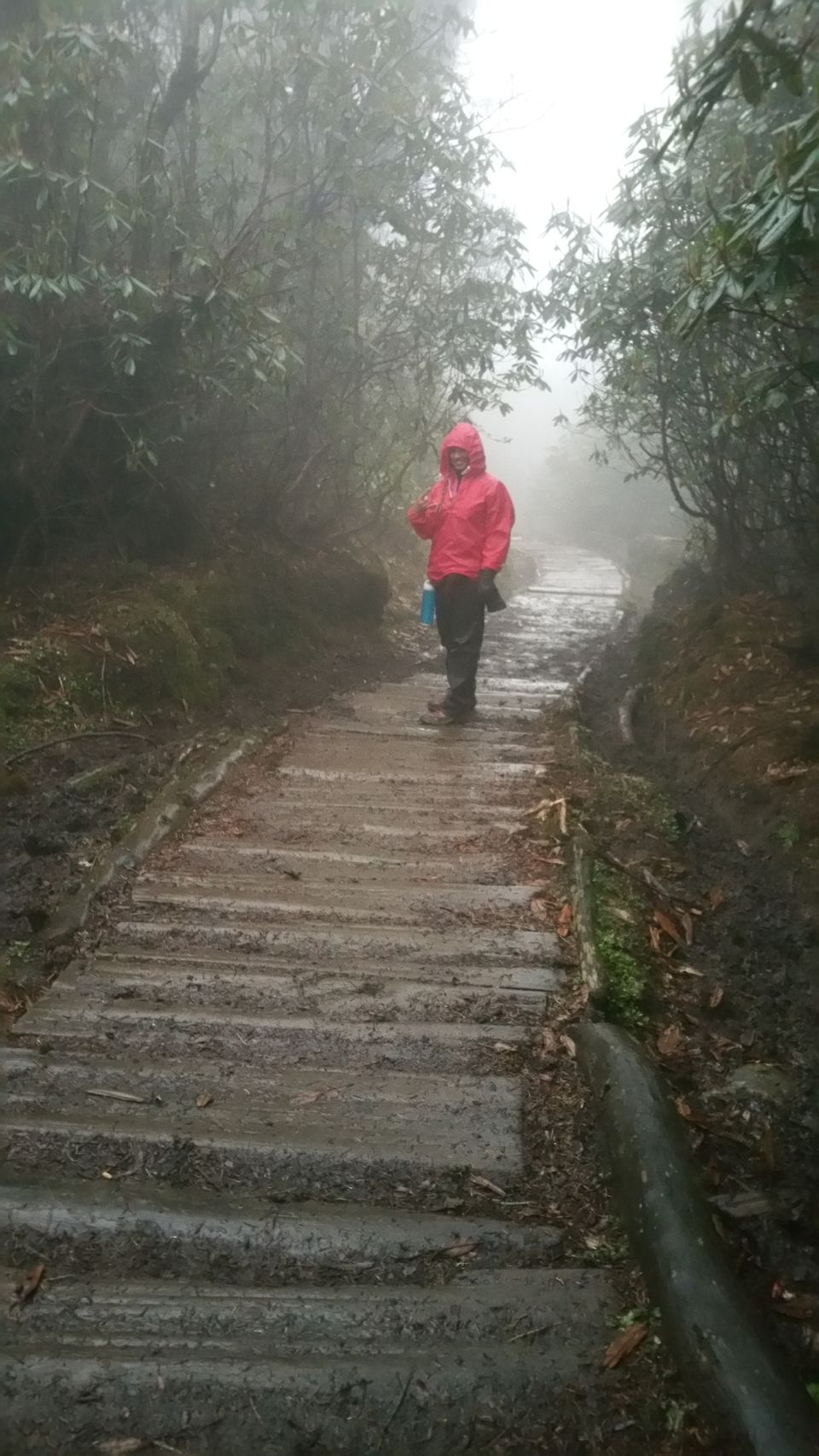 Photo of Wandering Soul’s Spellbound & Most Surreal Experience: Goechala's Trek by Sindhu Chandra