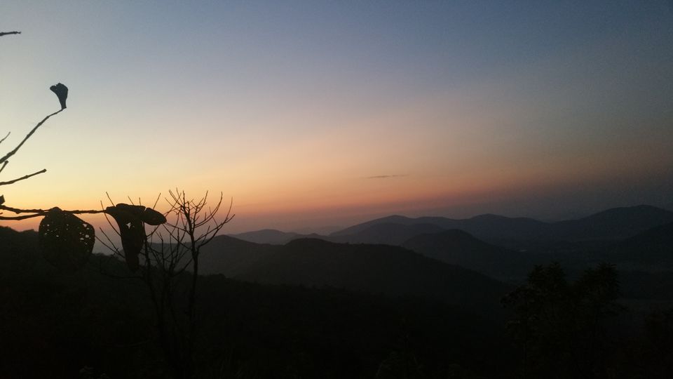 Photo of Wanderer Wondering in Wonder of Nature 1/2 by Sindhu Chandra