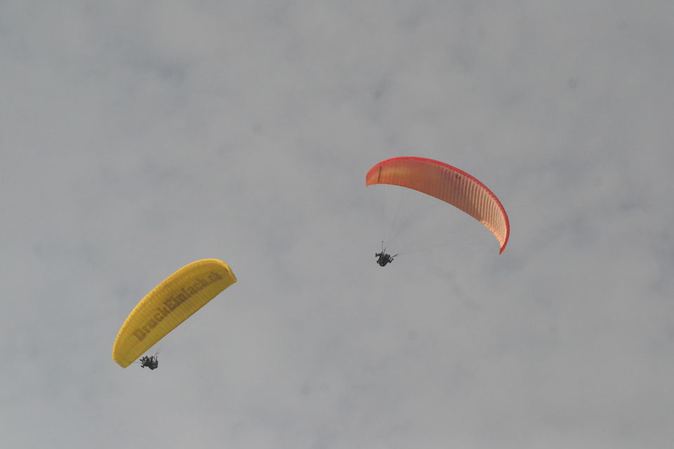 Photo of Bir Billing Paragliding, Bir, Himachal Pradesh, India by Sindhu Chandra