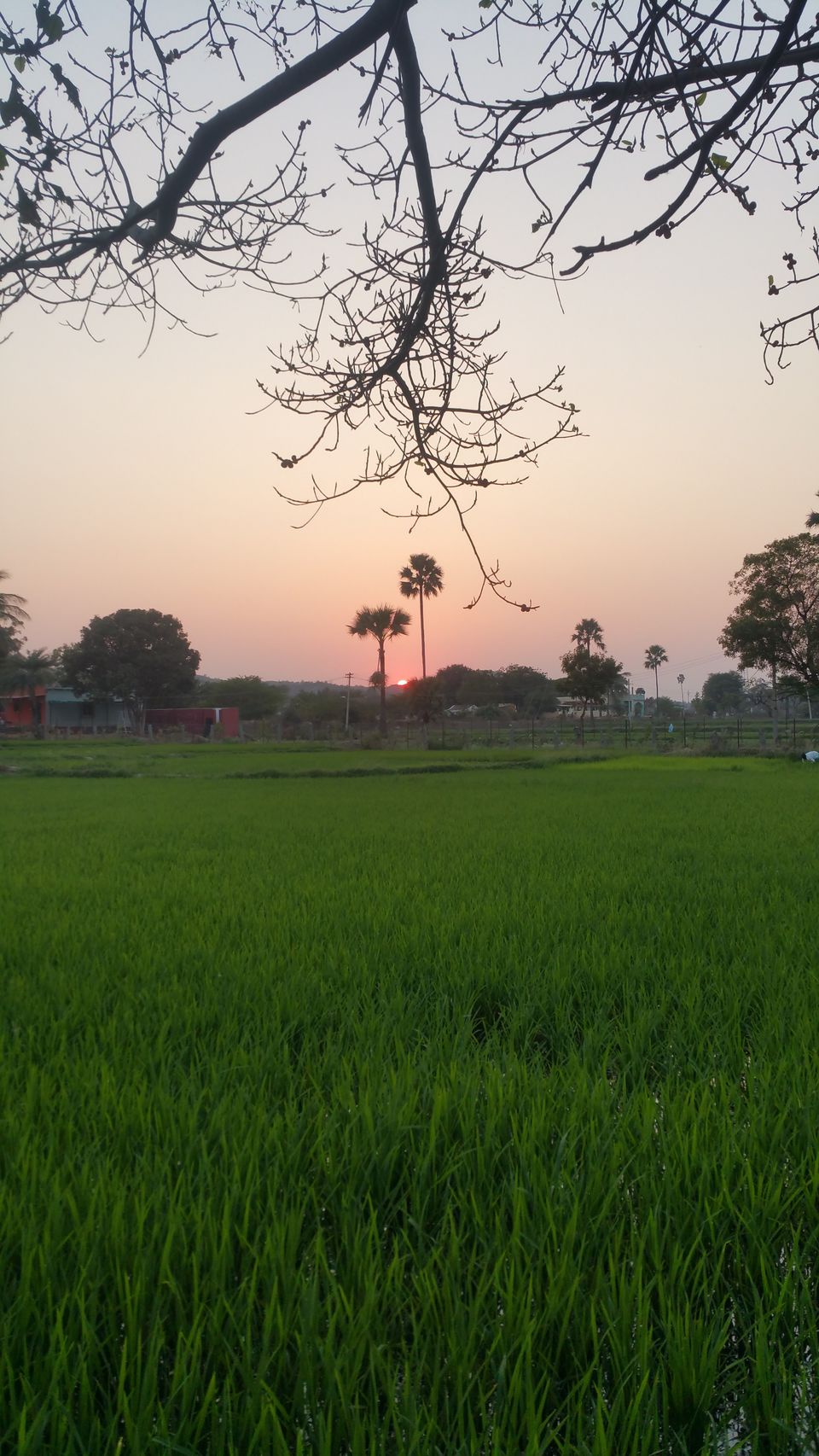 Photo of A day with nature 1/4 by Sindhu Chandra