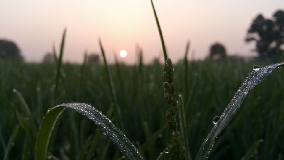 Photo of A day with nature 3/4 by Sindhu Chandra