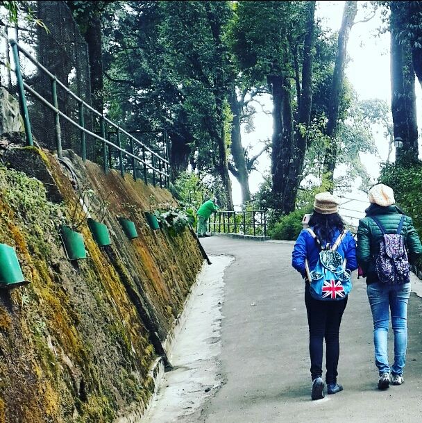 Photo of Finding Darjeeling! by Sayeeksha Kotekar