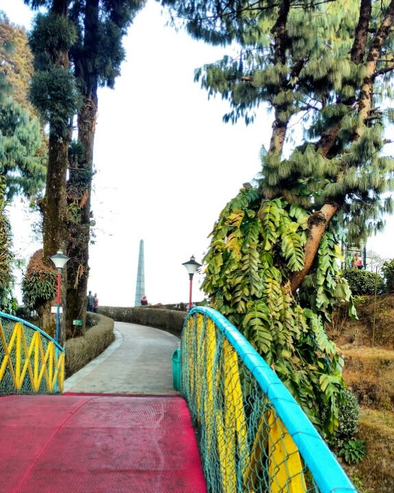 Photo of Finding Darjeeling! by Sayeeksha Kotekar