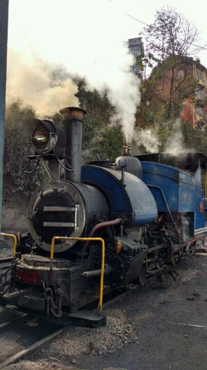 Photo of Finding Darjeeling! by Sayeeksha Kotekar