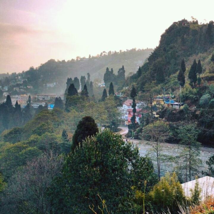 Photo of Finding Darjeeling! by Sayeeksha Kotekar