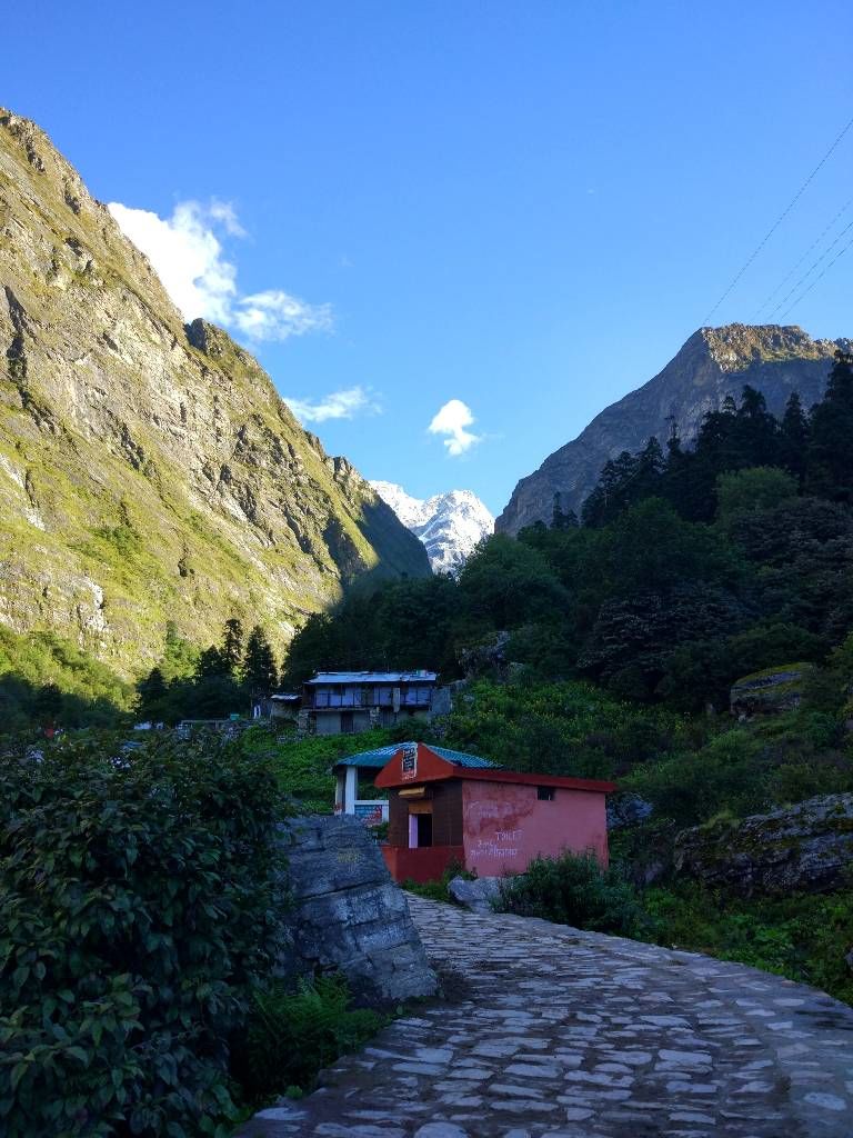 Photo of Enchanted & Enlightened - Valley of Flowers, Hemkund Sahib, Badrinath & Mana by Paraj Singh