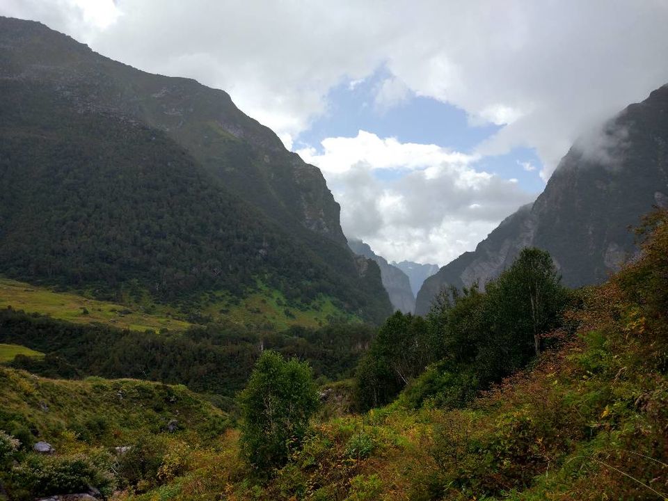 Photo of Valley of flowers National park, Ghangaria, Uttarakhand, India by Paraj Singh
