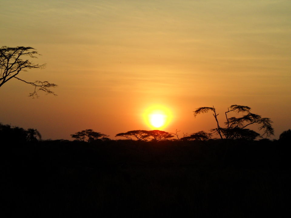 Photo of Christmas safari and orphanage visit 1/3 by Congema Tours and Safaris