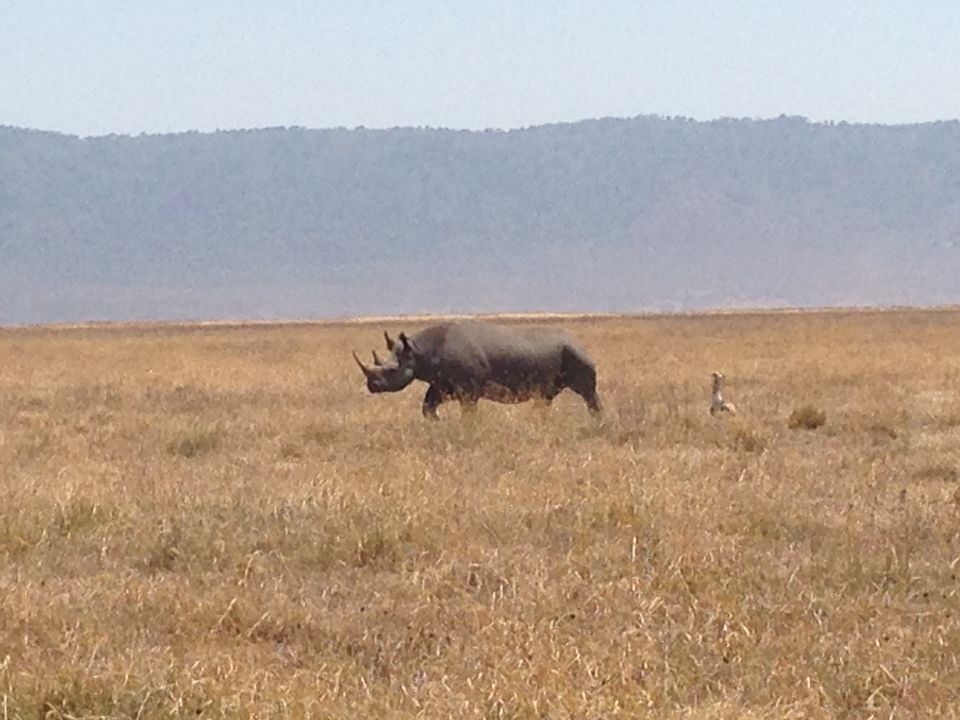 Photo of Lake Manyara National Park, Babati, Manyara, Tanzania by Congema Tours and Safaris
