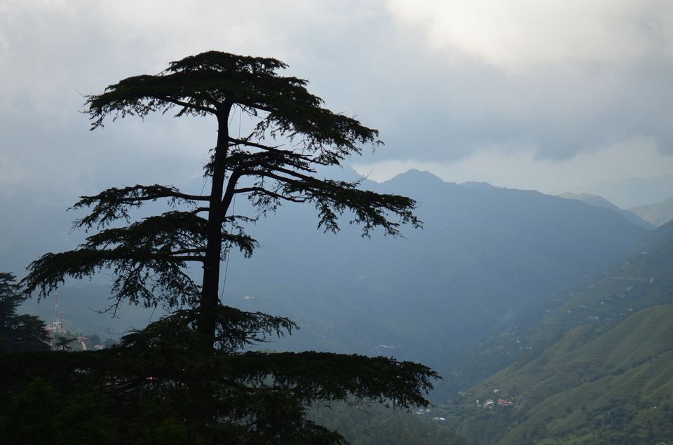 Photo of The Shimla you didn't know about! 1/1 by Pooja Chatterjee
