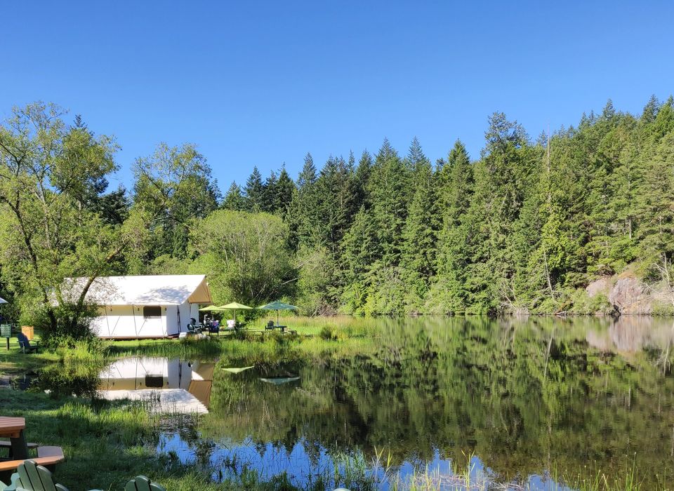 Photo of Perfect Weekend @ the San Juan Islands by Pooja Chatterjee