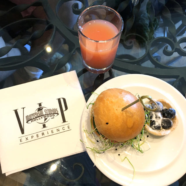 Photo of Universal Studios Hollywood: The VIP Experience - Blog of the Things 4/31 by Kritika Goel