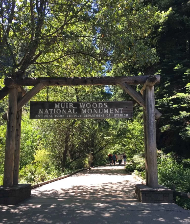 Photo of Muir Woods National Monument, Mill Valley, CA, United States by Kritika Goel