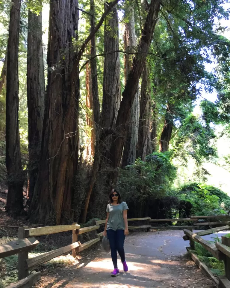 Photo of Muir Woods National Monument, Mill Valley, CA, United States by Kritika Goel