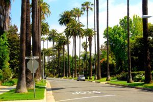 Photo of Los Angeles, CA, United States by Kritika Goel