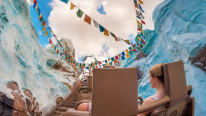Photo of Best Rides and Attractions at Walt Disney World - Blog of the Things 5/13 by Kritika Goel