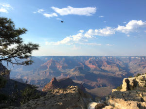 Photo of Top 10 Things to do in Las Vegas - Blog of the Things 13/16 by Kritika Goel