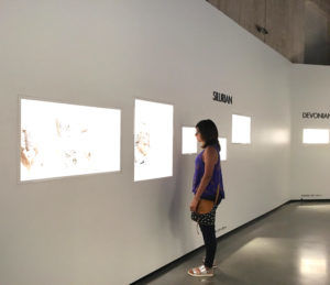 Photo of Houston: My Journey in Photos - Blog of the Things 12/18 by Kritika Goel