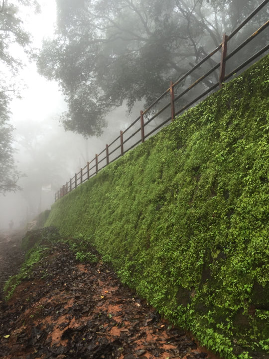 Photo of Matheran - A magical mystery ride. by Prajna Vegesna
