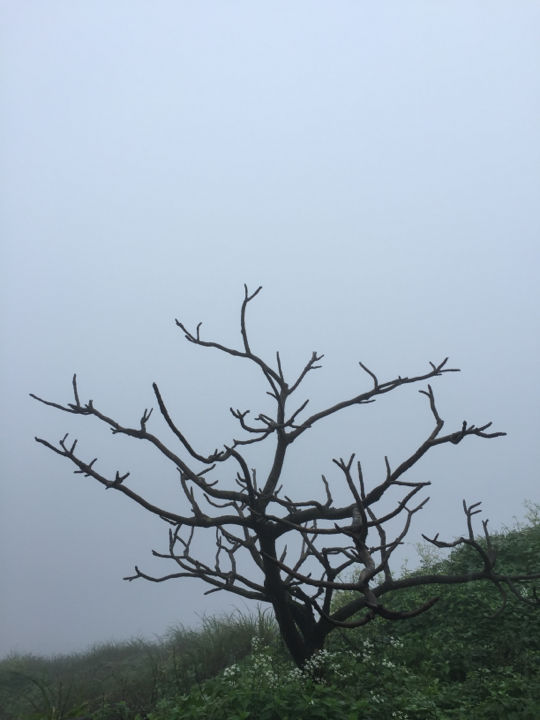 Photo of Matheran - A magical mystery ride. by Prajna Vegesna