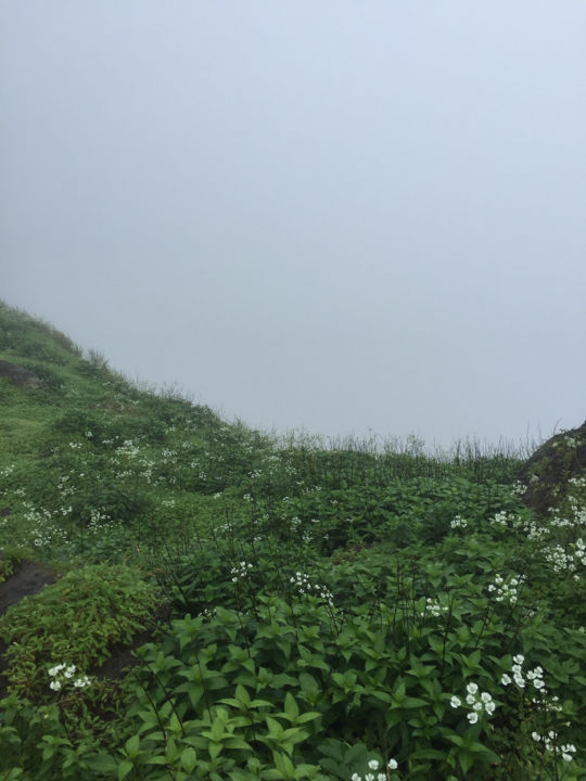 Photo of Matheran - A magical mystery ride. by Prajna Vegesna