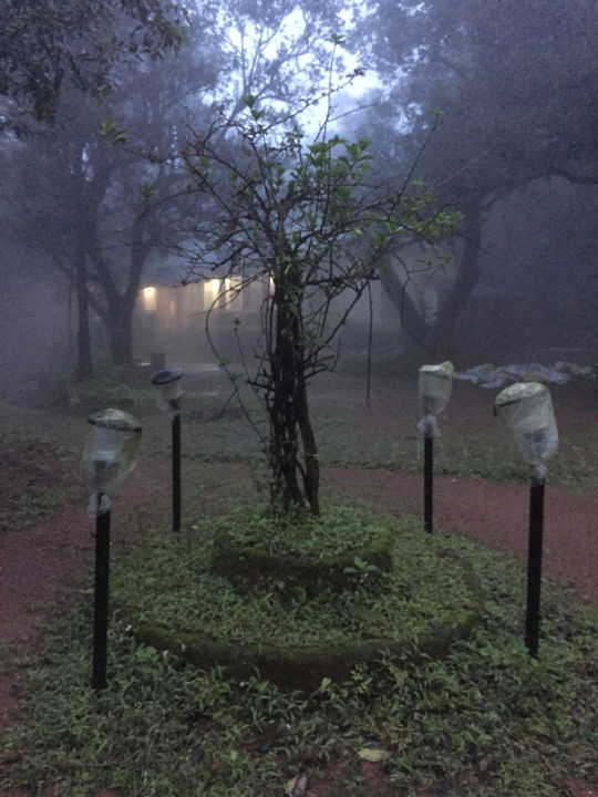 Photo of Matheran - A magical mystery ride. by Prajna Vegesna