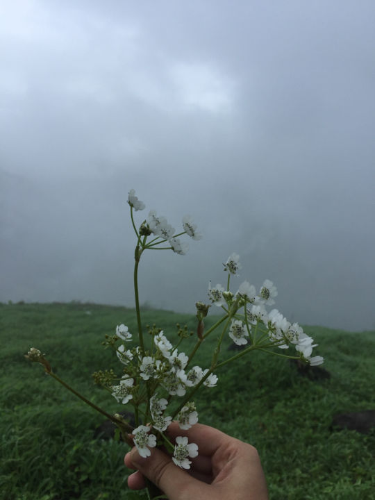 Photo of Matheran - A magical mystery ride. by Prajna Vegesna
