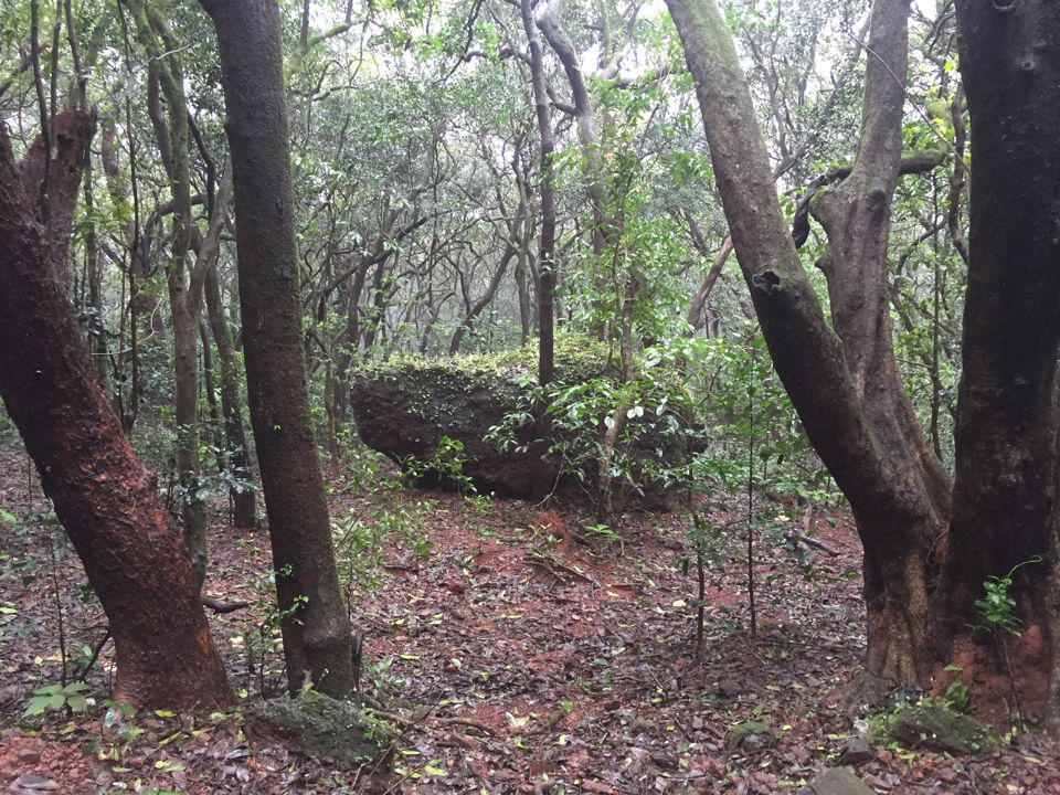 Photo of Matheran - A magical mystery ride. by Prajna Vegesna