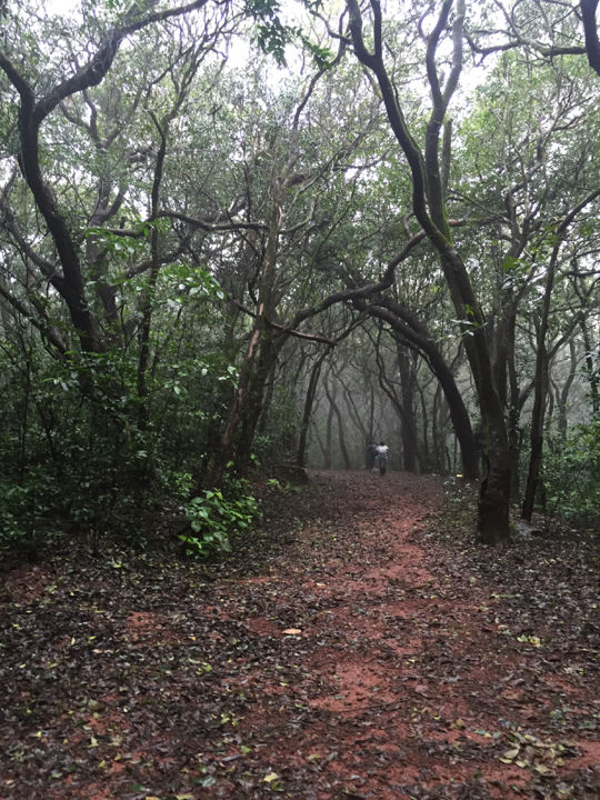 Photo of Matheran - A magical mystery ride. by Prajna Vegesna