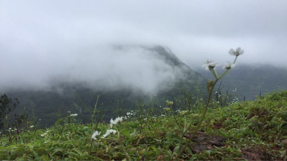 Photo of Matheran - A magical mystery ride. by Prajna Vegesna