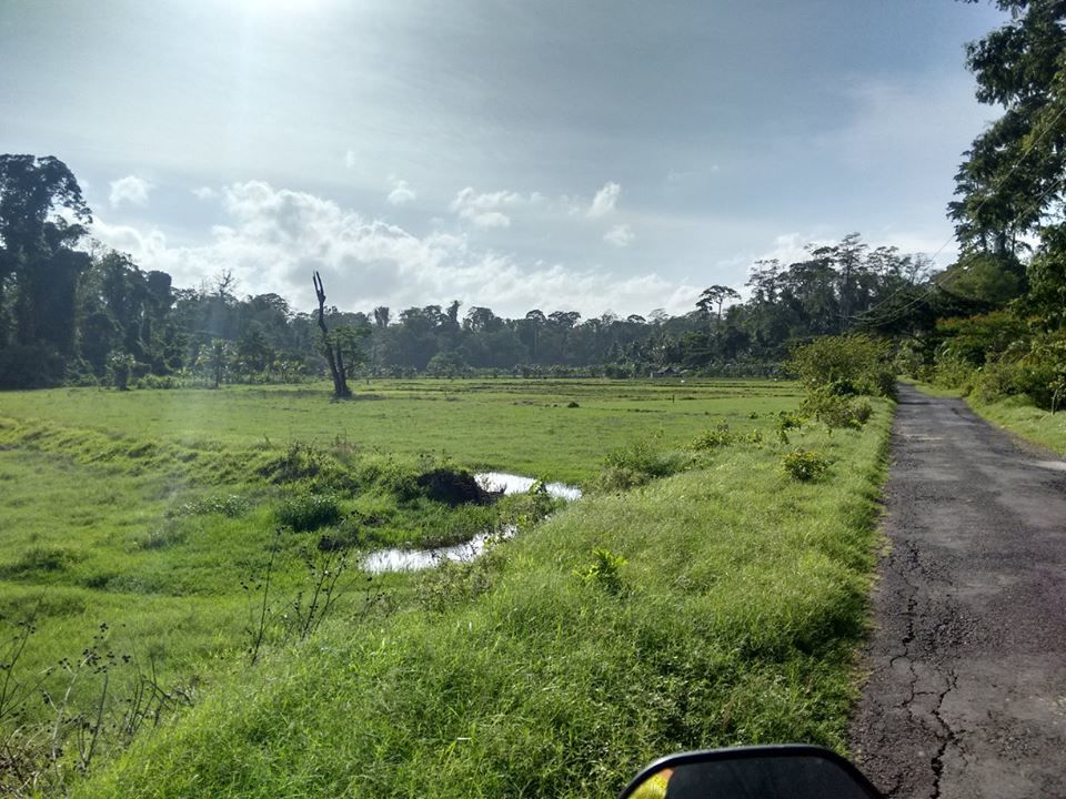 Photo of Havelock Island: If there’s a heaven, we’ve found it 2/3 by Ankush Das